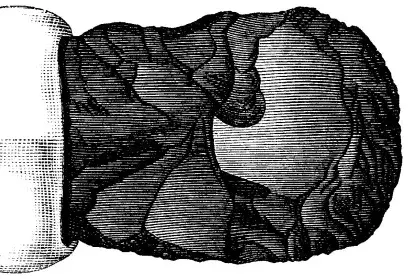 Illustration, sida 88