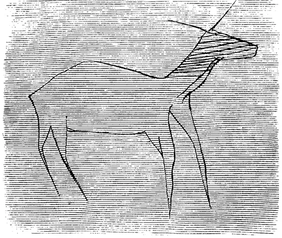 Illustration ur Sveriges stenålder. (1874), sida 108