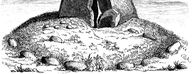 Illustration, sida 119