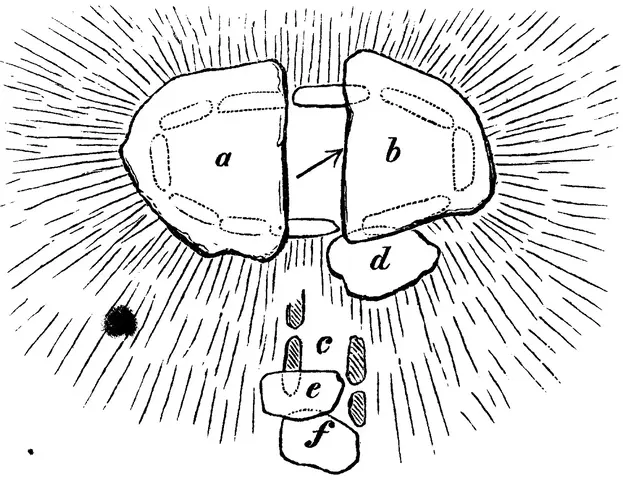 Illustration, sida 134