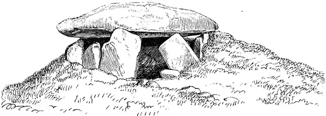 Illustration, sida 135