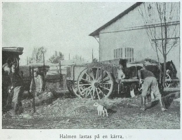 Illustration, sida 663