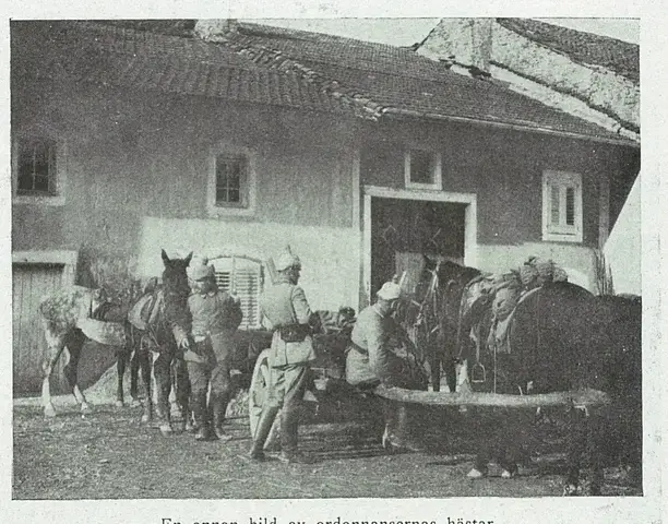 Illustration, sida 782