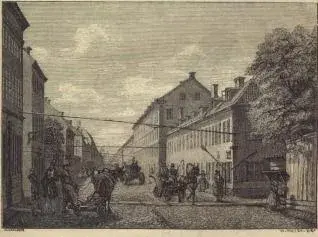 Illustration, sida 246