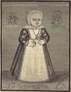 Illustration, sida 267