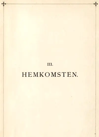 Hans Alienus: III. Hemkomsten omslag