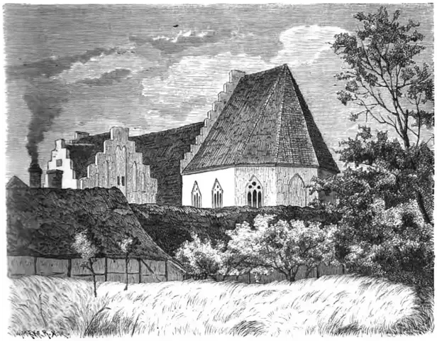 Illustration, sida 113