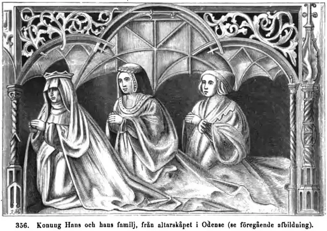Illustration, sida 455