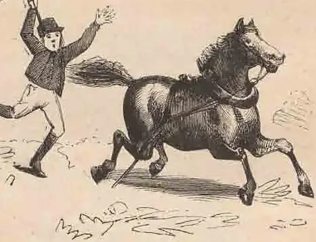 Illustration ur Humoristiska bilder (1881), sida 24