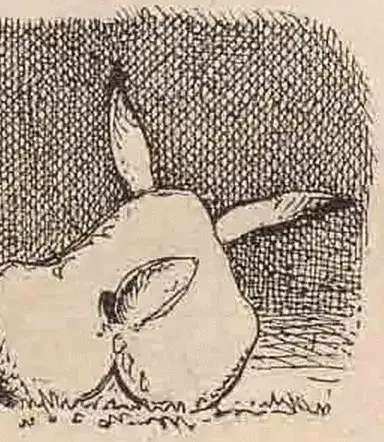 Illustration ur Humoristiska bilder (1881), sida 41