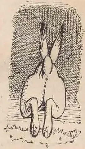 Illustration ur Humoristiska bilder (1881), sida 42
