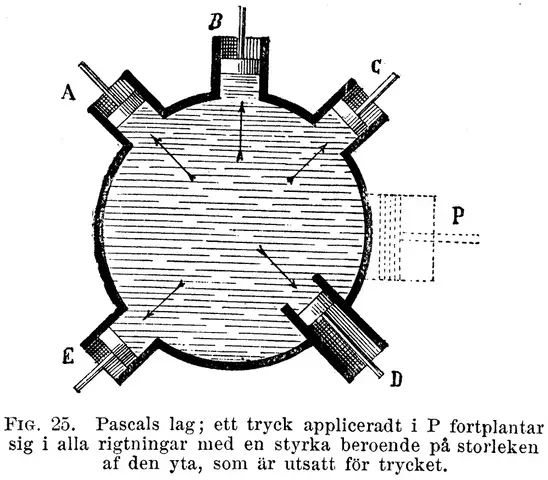 Illustration ur Nyckel till naturvetenskaperna (1890), sida 16