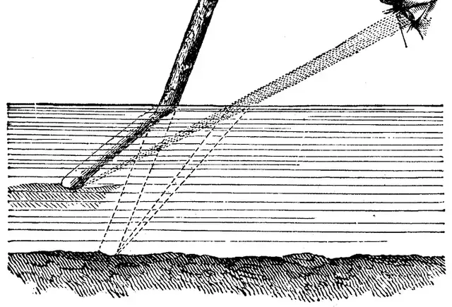 Illustration ur Nyckel till naturvetenskaperna (1890), sida 120