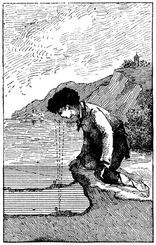 Illustration ur Nyckel till naturvetenskaperna (1890), sida 121