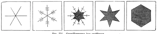 Illustration ur Nyckel till naturvetenskaperna (1890), sida 222