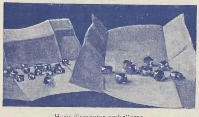 Illustration, sida 121