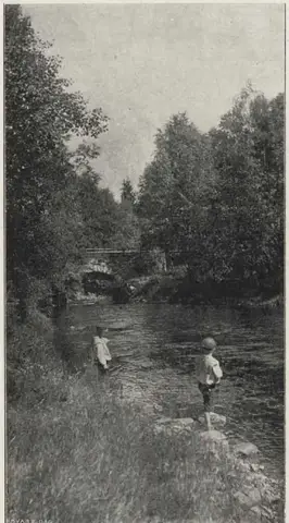 Illustration, sida 107