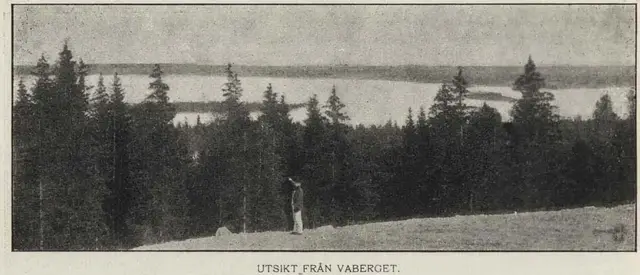 Illustration ur Hvar 8 dag – Årg. 2 (1900/1901) (1901), sida 113