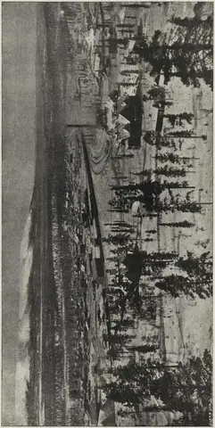 Illustration, sida 241