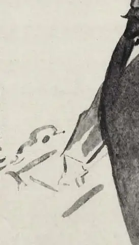 Illustration, sida 323