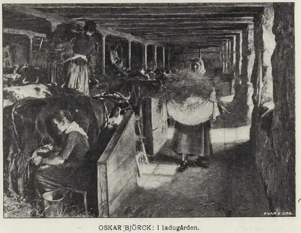 Illustration, sida 415