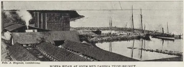 Illustration ur Hvar 8 dag – Årg. 2 (1900/1901) (1901), sida 713