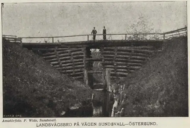 Illustration ur Hvar 8 dag – Årg. 2 (1900/1901) (1901), sida 725