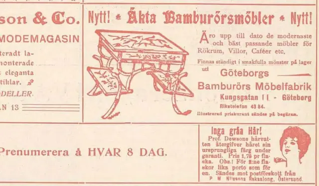 Illustration ur Hvar 8 dag – Årg. 2 (1900/1901) (1901), sida 920