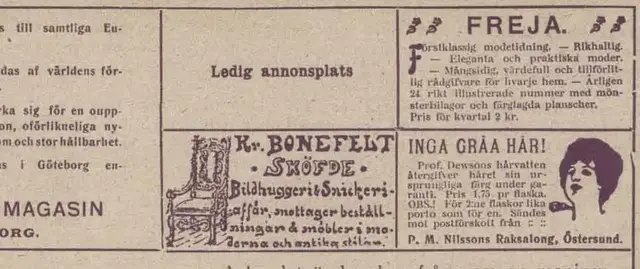 Illustration ur Hvar 8 dag – Årg. 2 (1900/1901) (1901), sida 1102