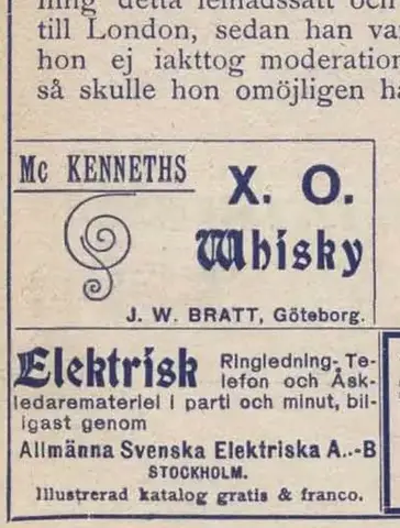 Illustration ur Hvar 8 dag – Årg. 3 (1901/1902), Illustrerat Magasin (1902), h4:6
