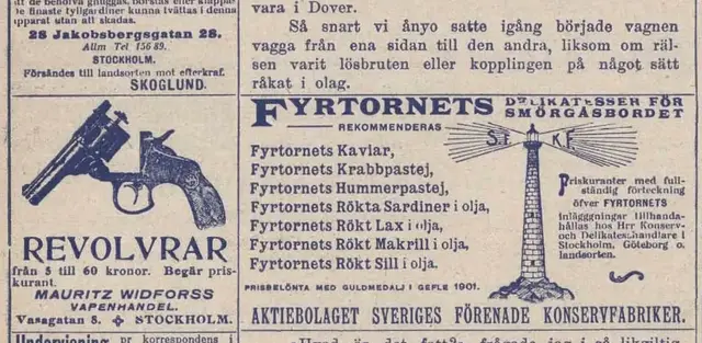 Illustration ur Hvar 8 dag – Årg. 3 (1901/1902), Illustrerat Magasin (1902), sida 12