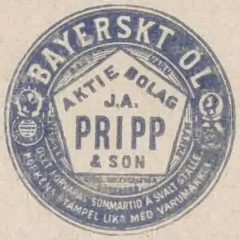 Illustration ur Hvar 8 dag – Årg. 3 (1901/1902), Illustrerat Magasin (1902), sida 25