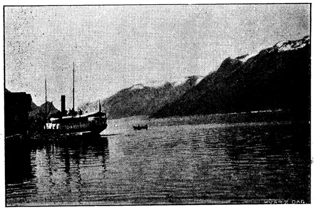 Illustration, sida 219