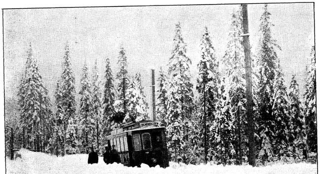 Illustration, sida 233
