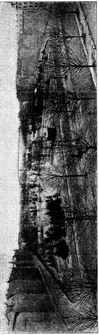 Illustration ur Hvar 8 dag – Årg. 3 (1901/1902) (1902), sida 264