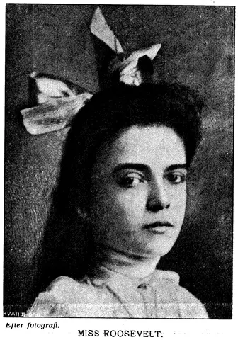 Illustration ur Hvar 8 dag – Årg. 3 (1901/1902) (1902), sida 290