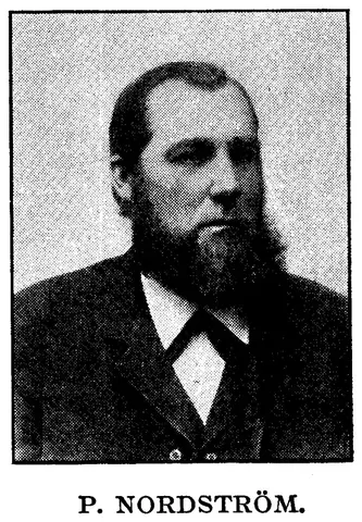 Illustration ur Hvar 8 dag – Årg. 3 (1901/1902) (1902), sida 334