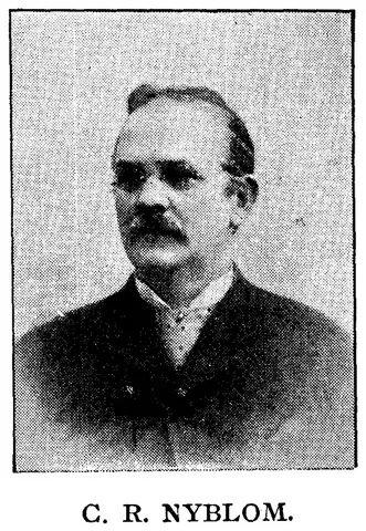 Illustration ur Hvar 8 dag – Årg. 3 (1901/1902) (1902), sida 432