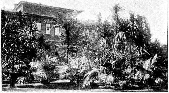 Illustration ur Hvar 8 dag – Årg. 3 (1901/1902) (1902), sida 672