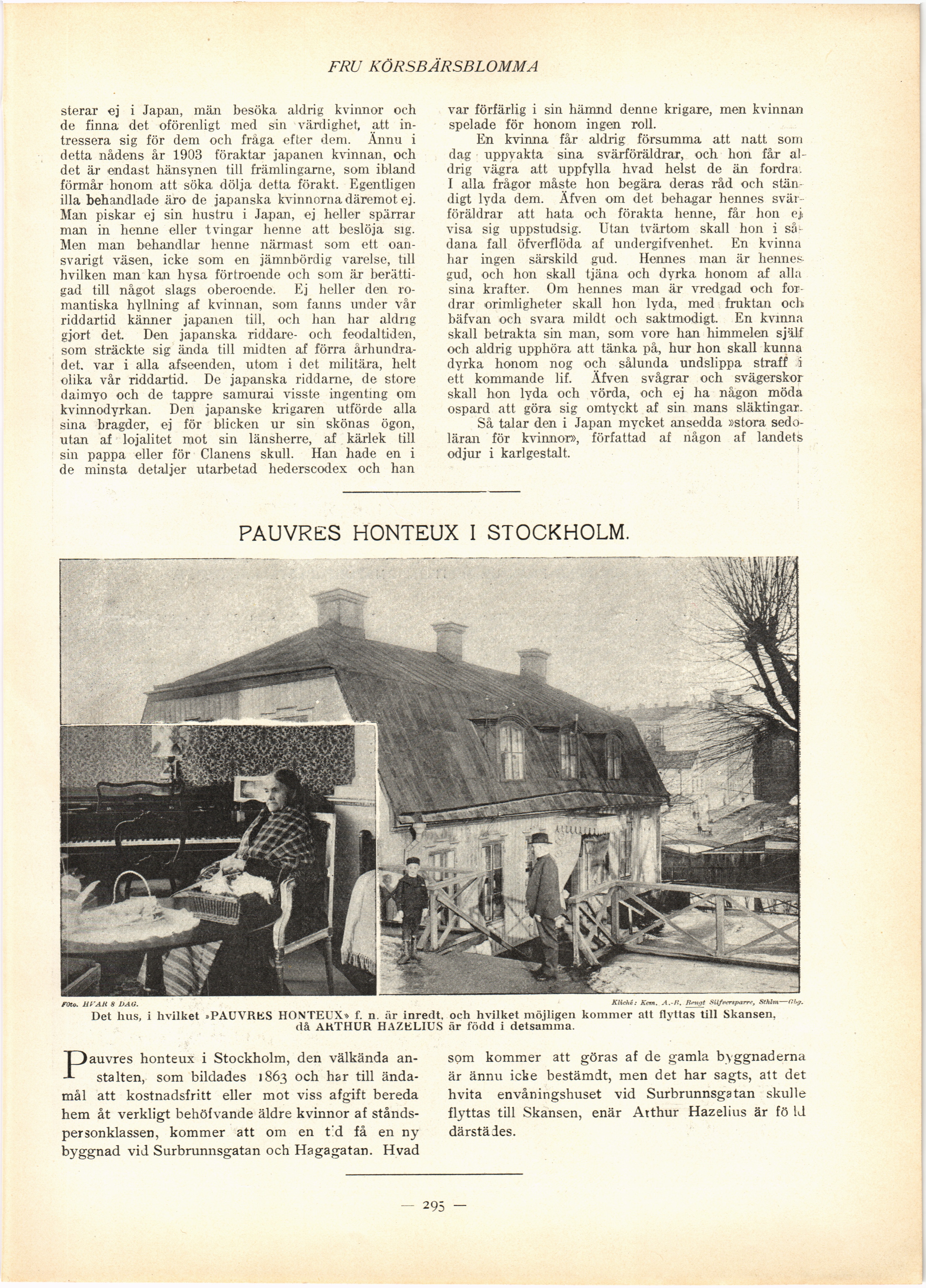 Skannad sida 313