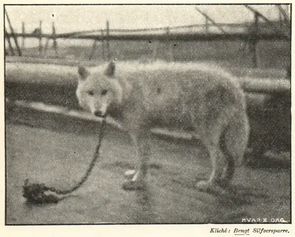 Illustration, sida 40
