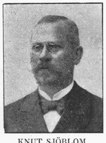 Illustration ur Hvar 8 dag – Årg. 4 (1902/1903) (1903), sida 161