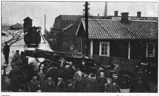 Illustration ur Hvar 8 dag – Årg. 4 (1902/1903) (1903), sida 231