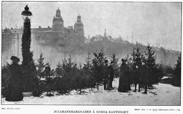Illustration ur Hvar 8 dag – Årg. 4 (1902/1903) (1903), sida 235