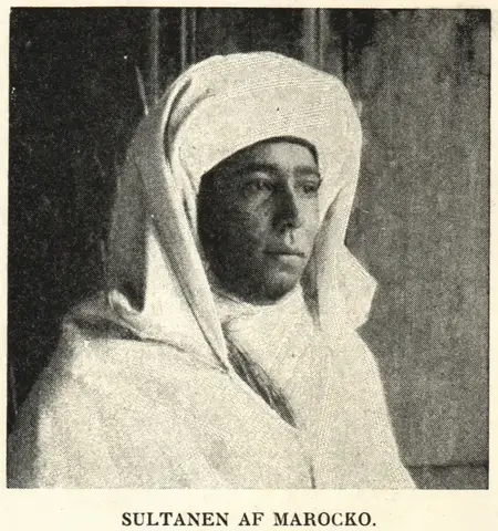 Illustration, sida 263