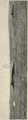 Illustration, sida 270