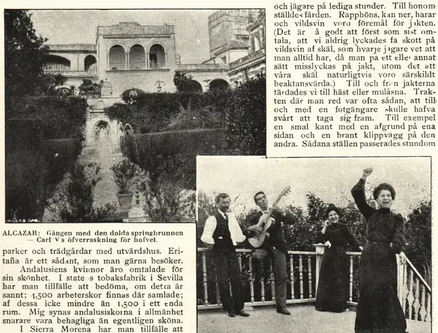 Illustration ur Hvar 8 dag – Årg. 4 (1902/1903) (1903), sida 333