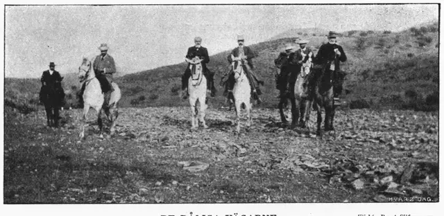 Illustration ur Hvar 8 dag – Årg. 4 (1902/1903) (1903), sida 334