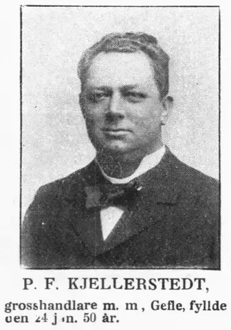 Illustration ur Hvar 8 dag – Årg. 4 (1902/1903) (1903), sida 336