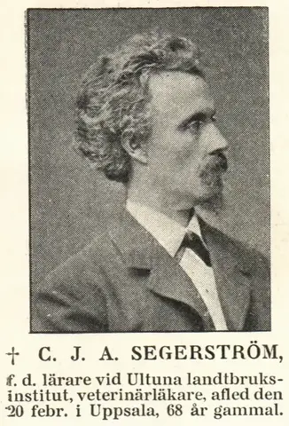 Illustration, sida 389